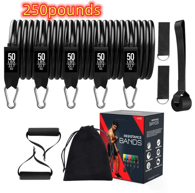 DropSet Home Band Kit — Full Body Resistance Training System