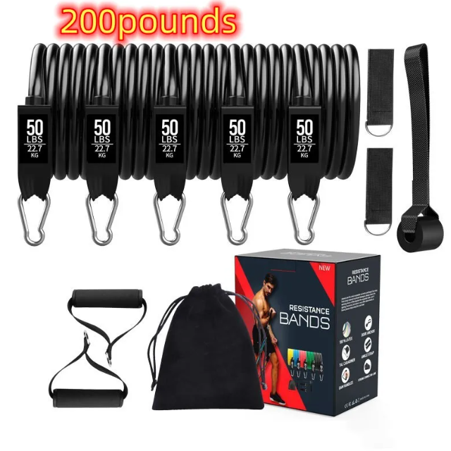 DropSet Home Band Kit — Full Body Resistance Training System