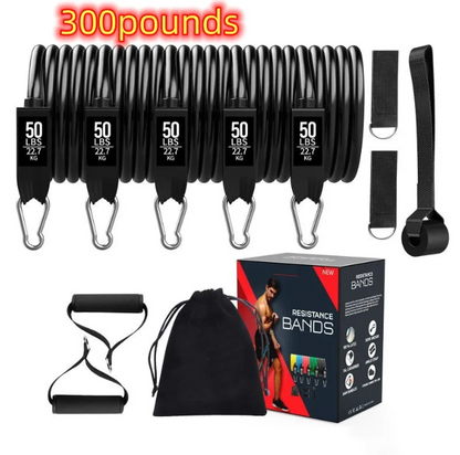 DropSet Home Band Kit — Full Body Resistance Training System