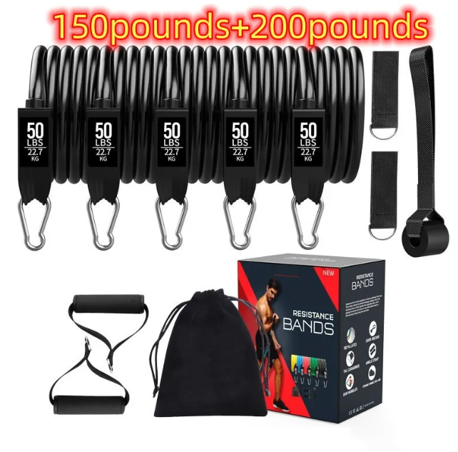 DropSet Home Band Kit — Full Body Resistance Training System