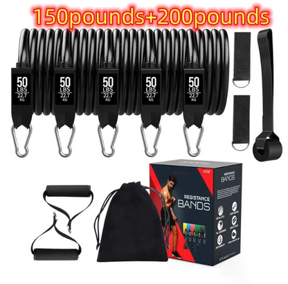 DropSet Home Band Kit — Full Body Resistance Training System